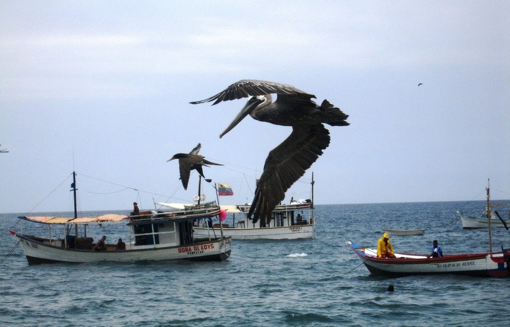 Dia de Pesca by Eliecer Varela