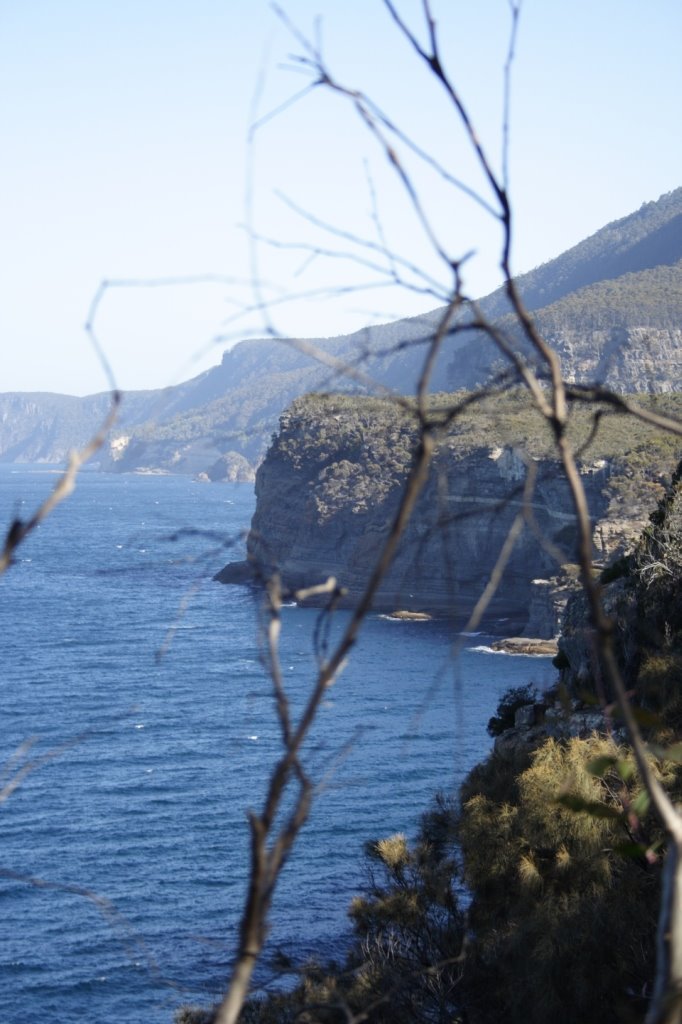 Tasman Peninsula, Tasmania by Olga Mishu