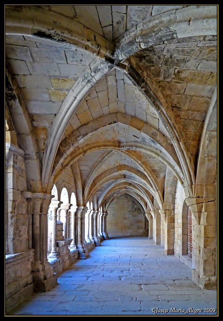 Vallbona - Claustre - Nau sud - Segle XII - Romànic primitiu by Josep Maria Alegre