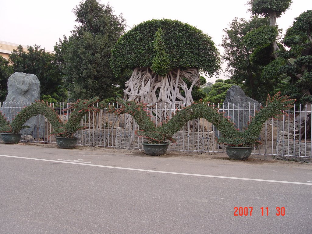 TOPIARY WORK by NAGOOR MEERAN