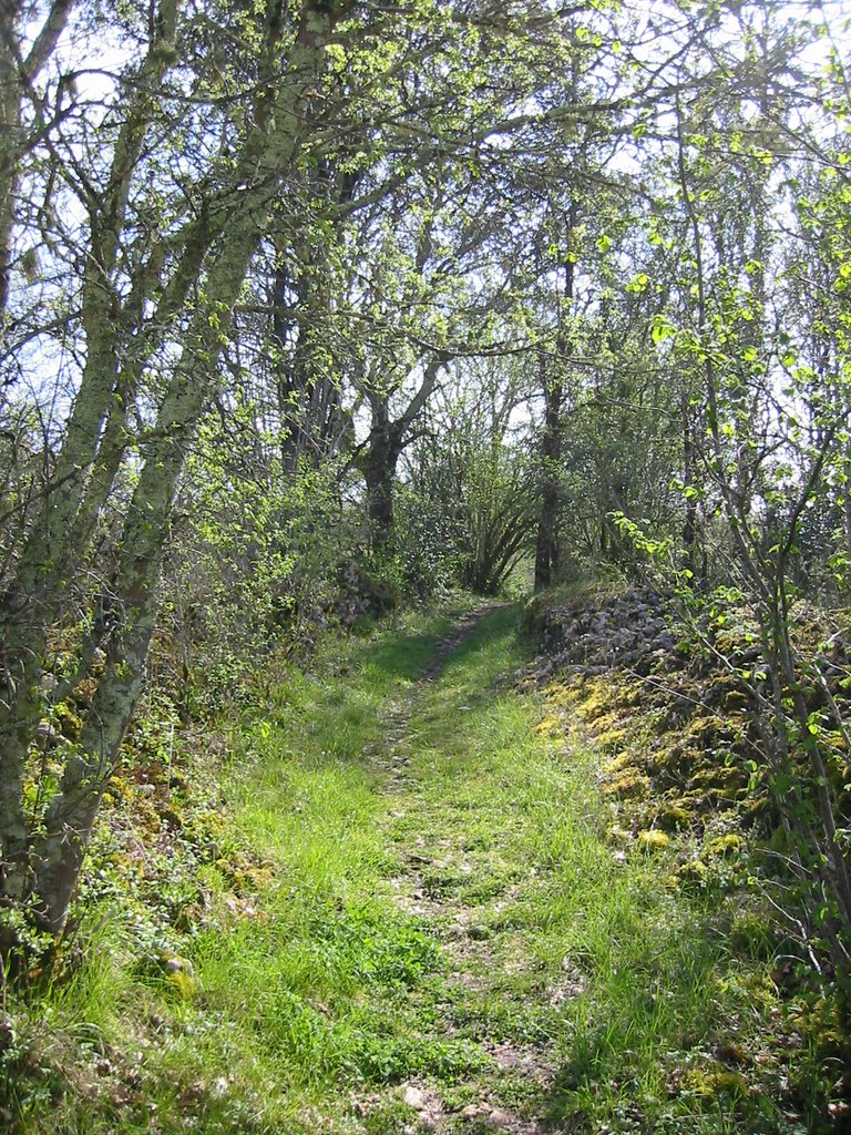 Chemin au dessus du village de Tayac by DESRENTES ERIC