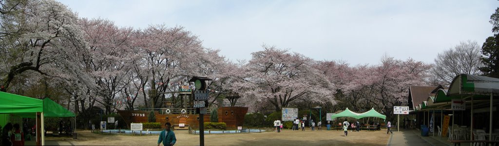 野田市 清水公園 - 2009年４月５日 撮影 by bazaider