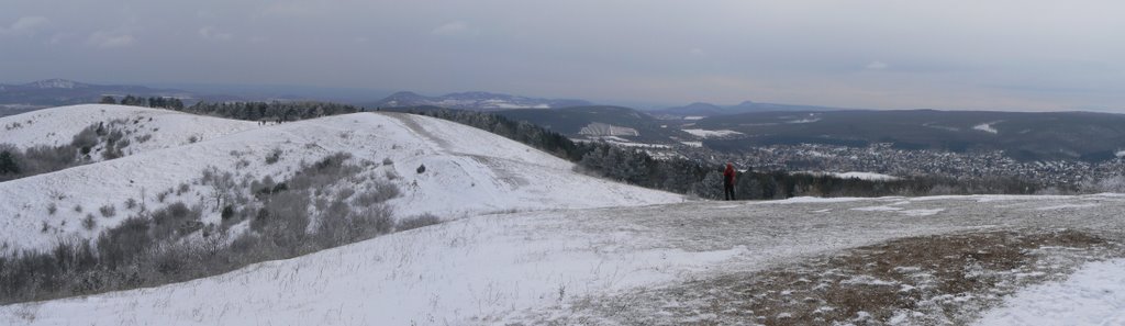 Nagy-Szénás, Budai-hegység (2009.02.14) by rrbmirgamid