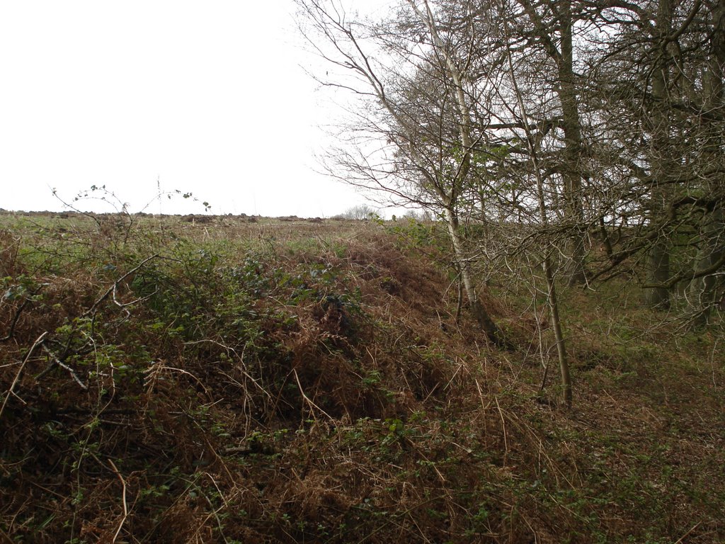 Ramsbury Corner by ian freeman