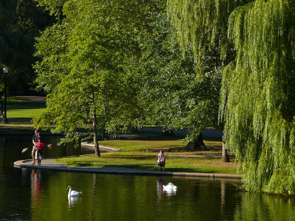 Boston Public Gardens, Boston, MA, USA by Paul Dineen