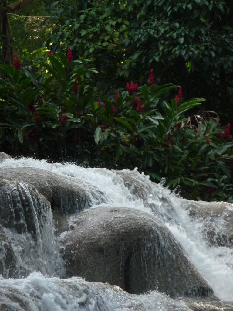 Dunn's River Falls by Patrick Amadio