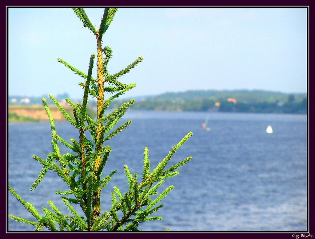 Дубна. Волга / Dubna. Volga river by Oleg Belyakov