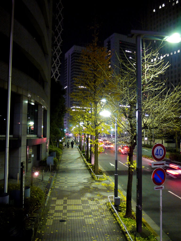 Shinjuku by a110jp