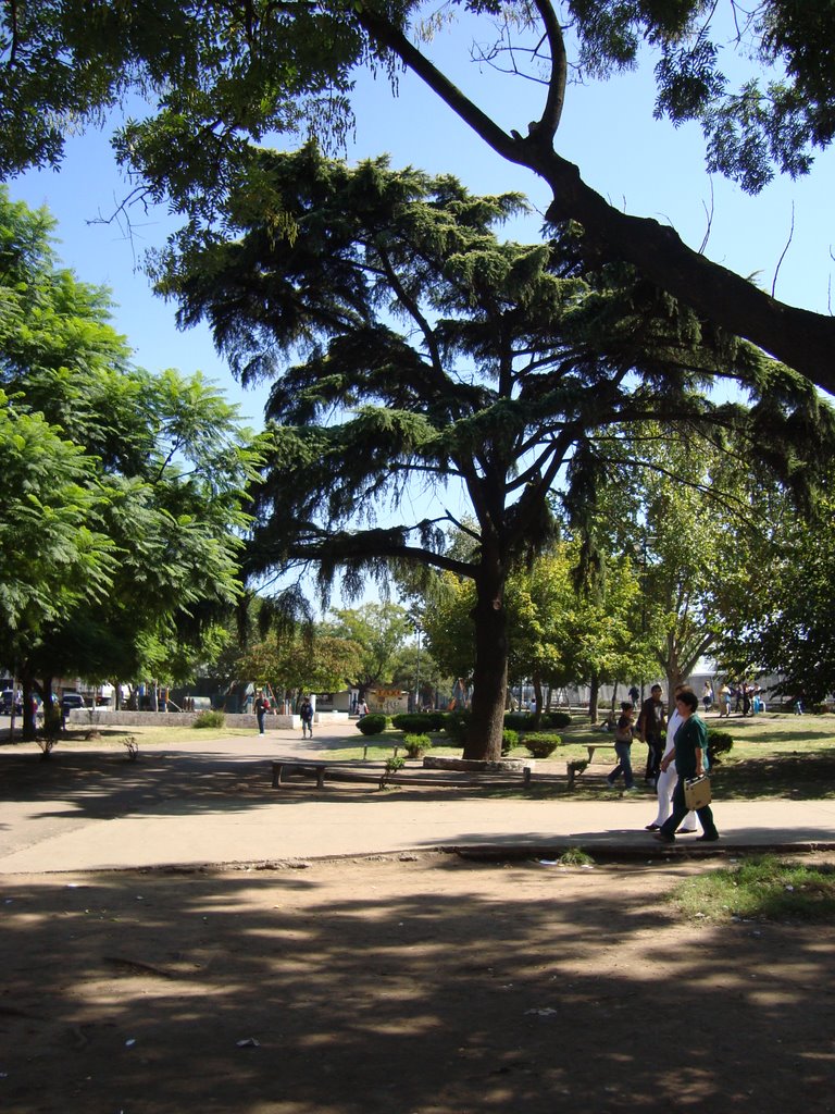 Plaza de Paso del Rey by Izhak el Dragontosaurio