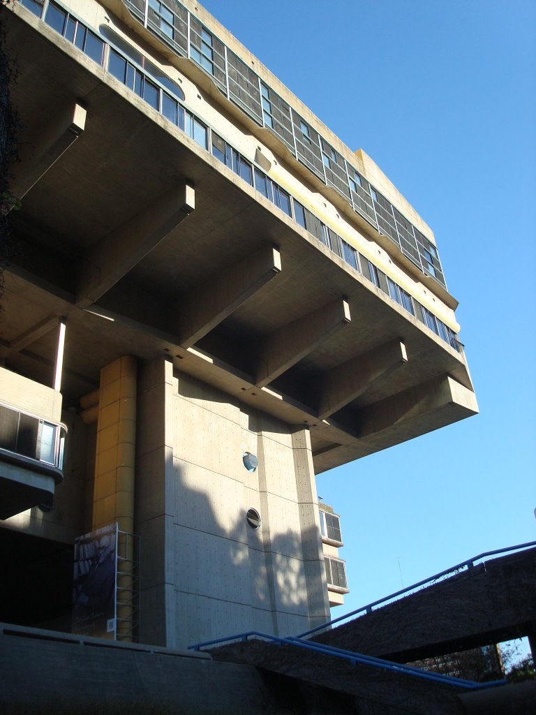 Biblioteca Nacional by Emiliano Homrich