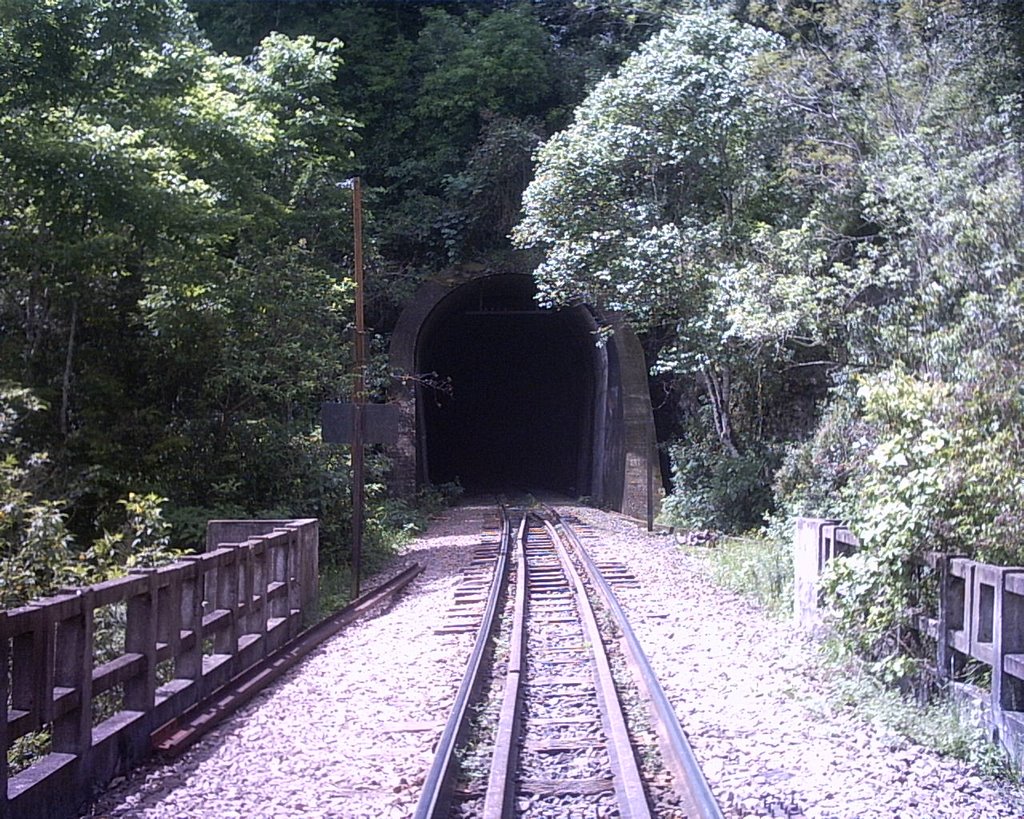 Túnel e viaduto 13, Ferrovia do Trigo, Vespasiano Corrêa, RS by Ubirajara Cruz