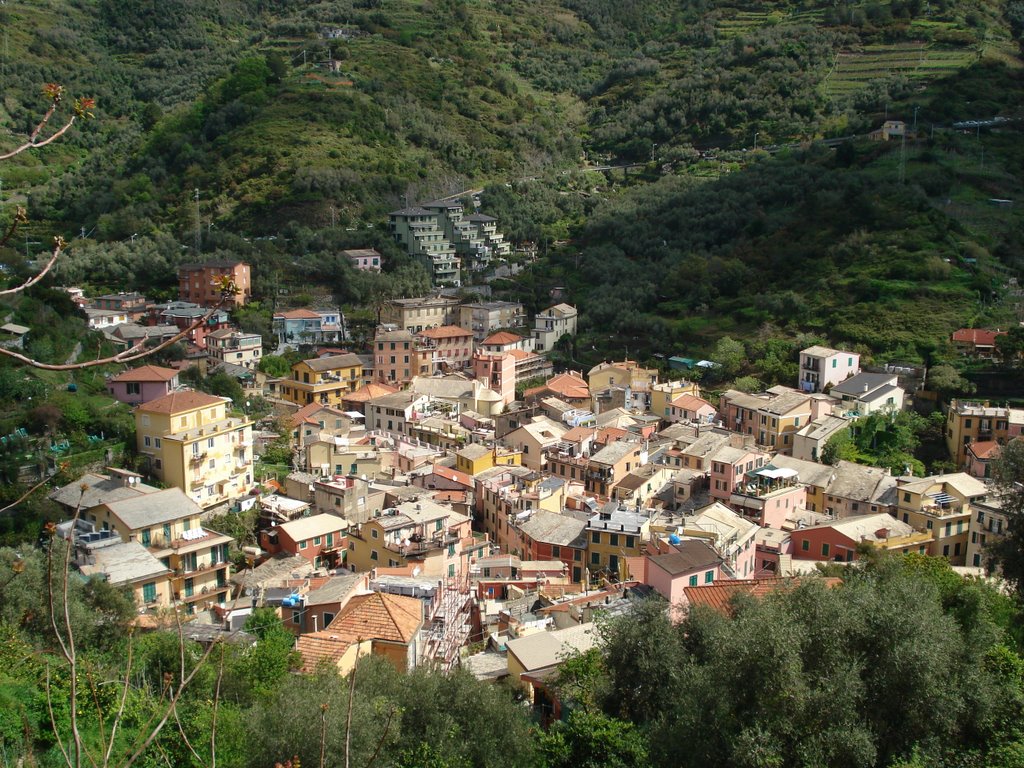 Monterosso al Mare, Italy by JayCola