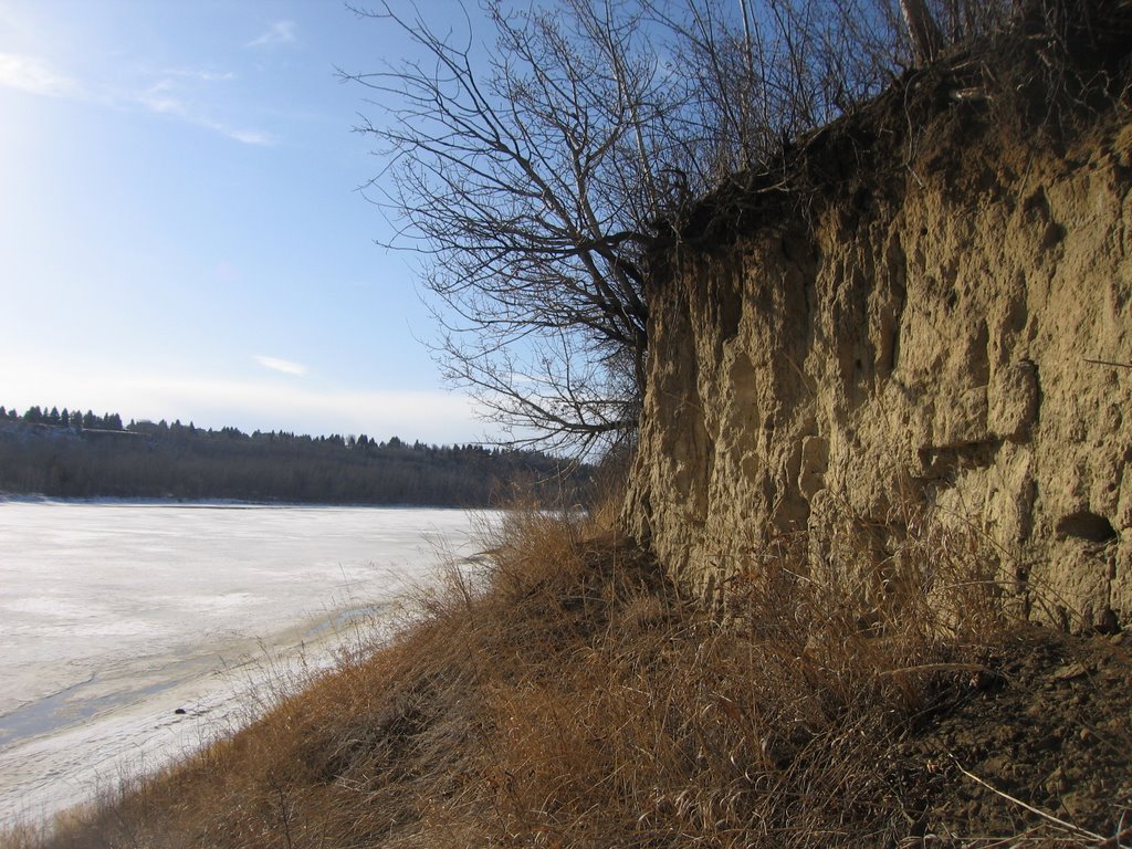 The Dry Southwest Face of The North Saskatchewan River Bank in Edmonton by David Cure-Hryciuk