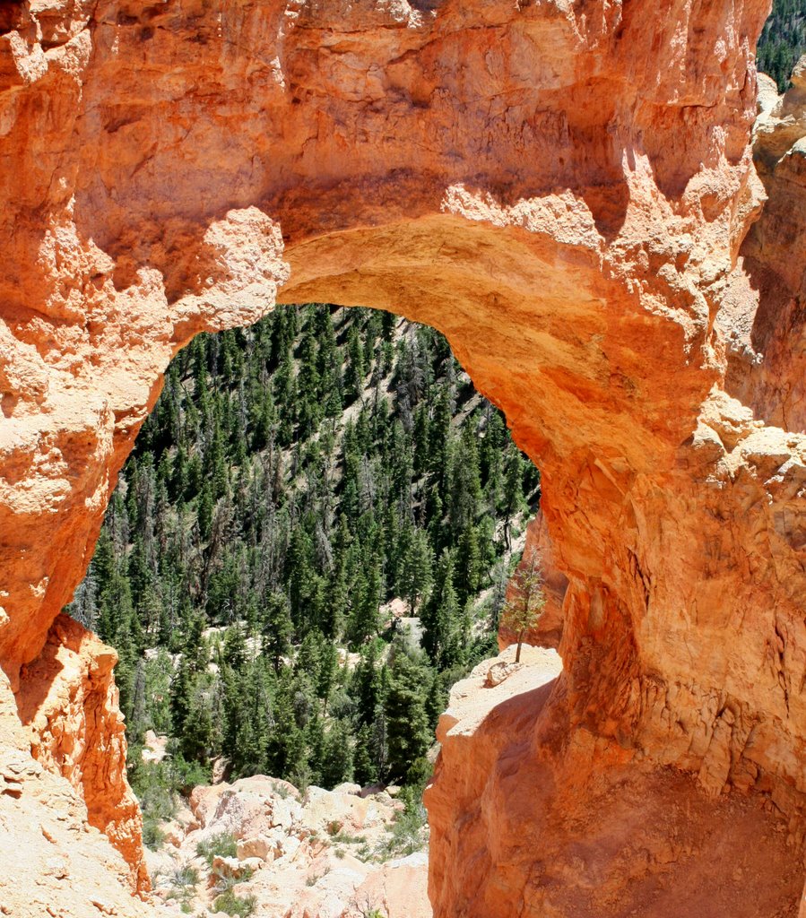 Bryce Canyon by Sydney2305