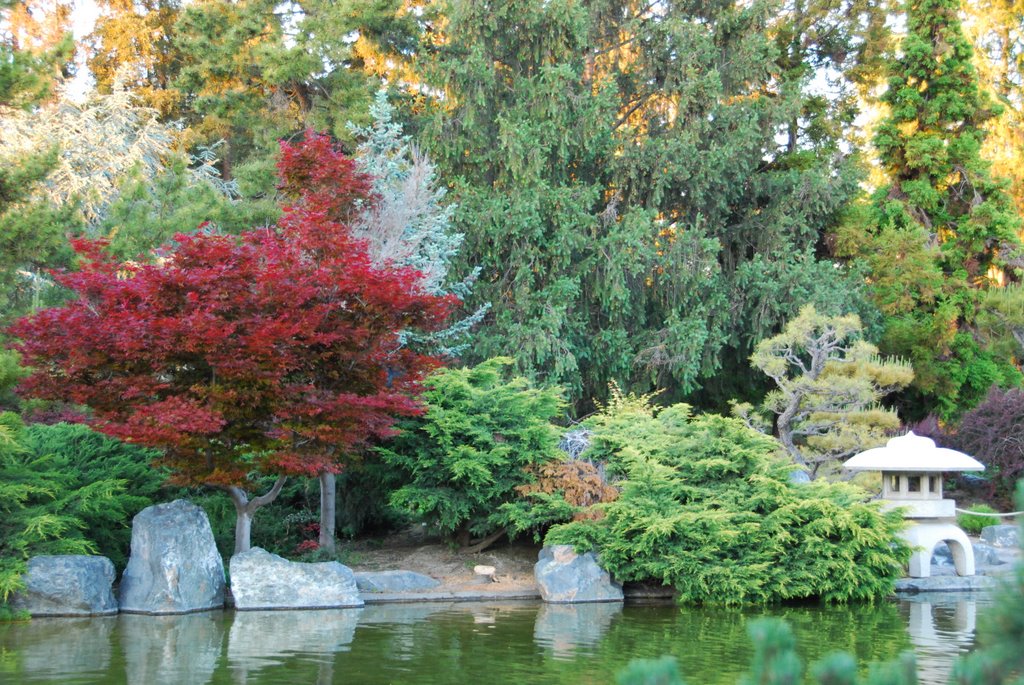 Japanese Friendship Garden by linkerc