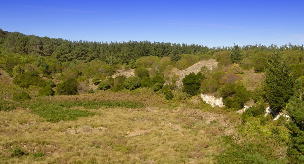 Crater on the side of Mount Schank by Michael Bone