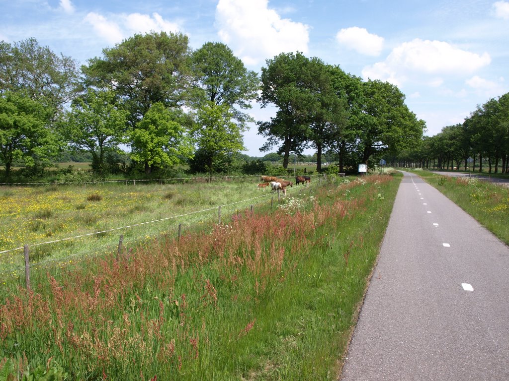 Weiland bij het Balloerveld by Hans R van der Woude