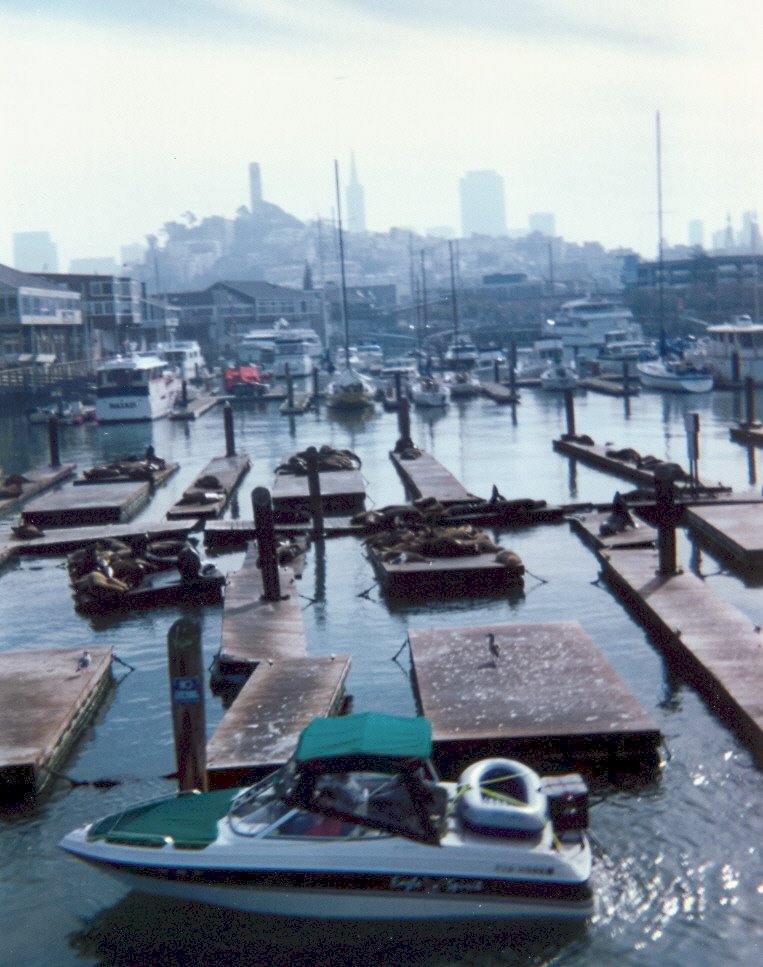 Fisherman Wharf, San Francisco CA by Sergio Araujo