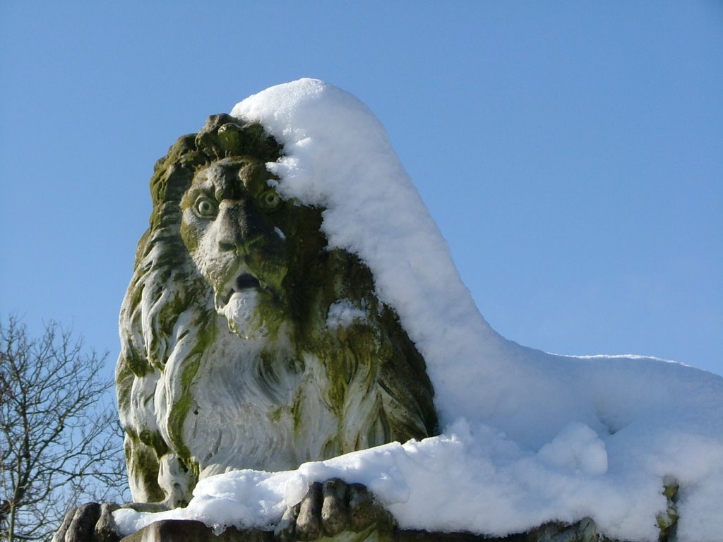 "Oh It's Cold." Snow in Sunbury Walled garden 3rd February 2009. by televisionsouthwest