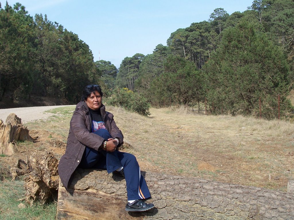 Visitando el parque Campo Alegre en San Joaquín, Querétaro by viddavic