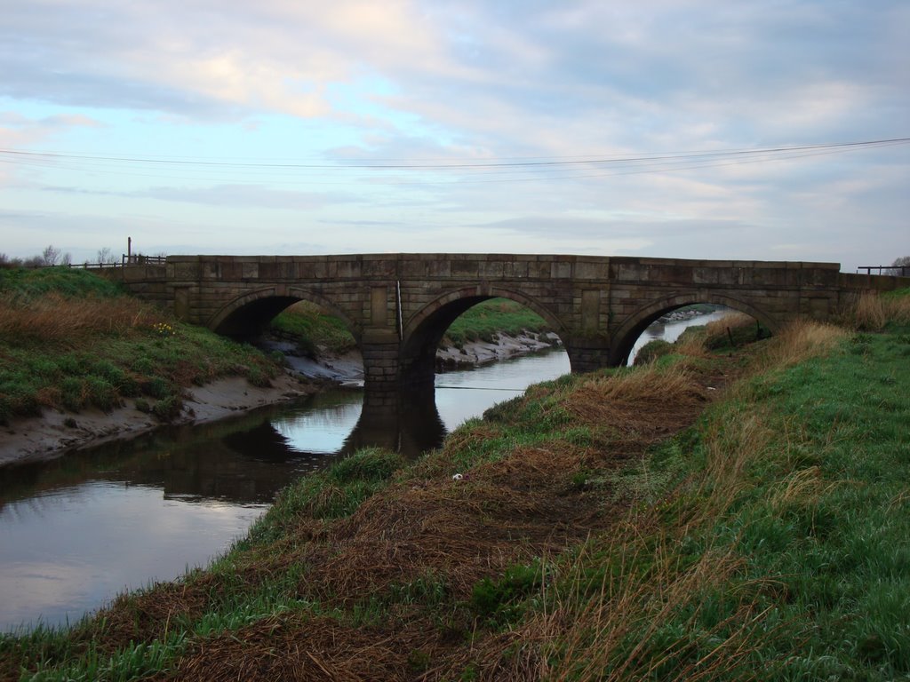 Great Hanging Bridge by Tom Fazakerley