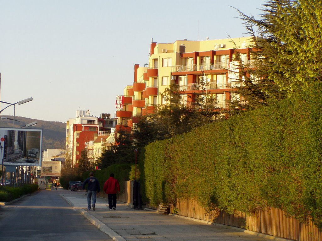 Sunny Beach avenue by Georgi D. Chapkanov