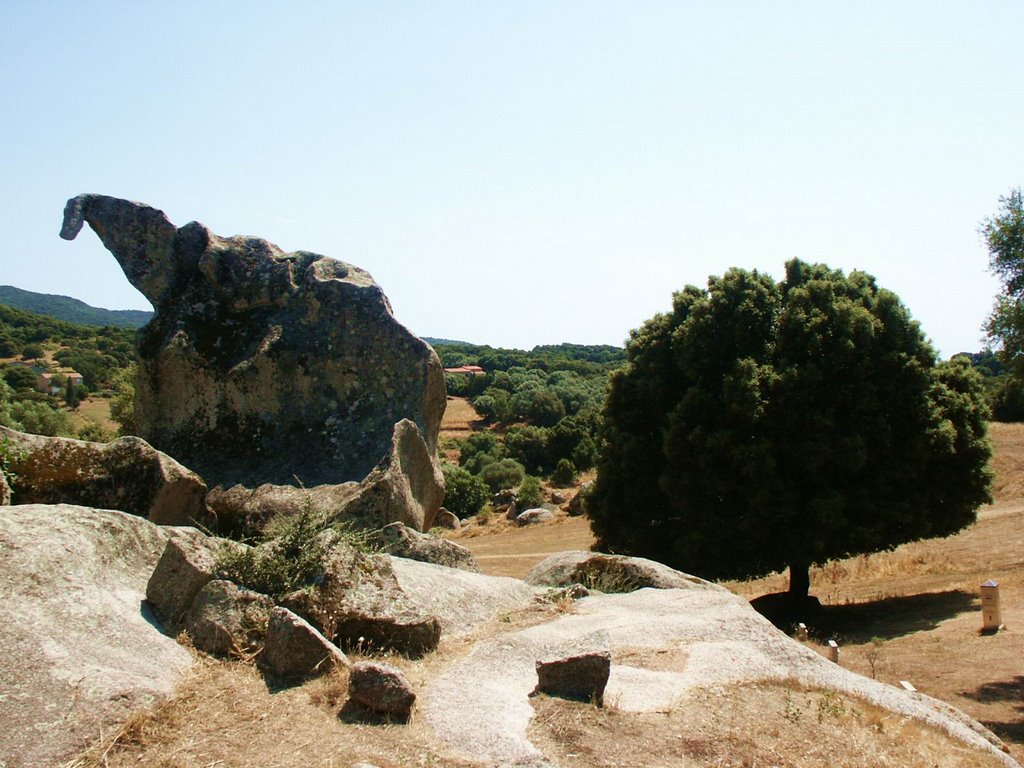 The "dinosaure" mégalitic site - Filitosa - Corse by Yvon Meurisse