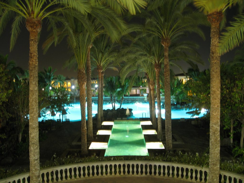 Palm Oasis at night by chenkelman