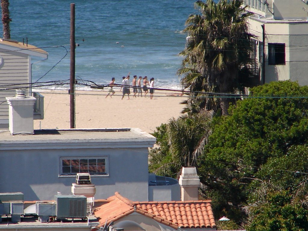 Venice Beach , Los Angeles, Ca. by alek solo