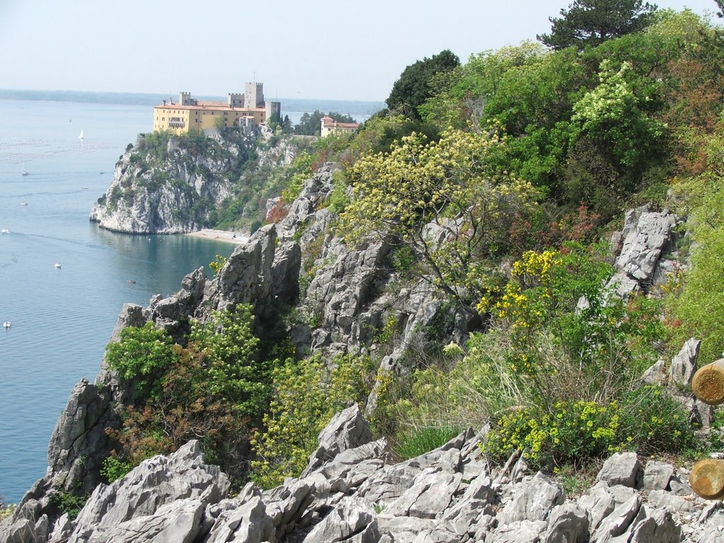 Duino castello in primavera by paolo.platania