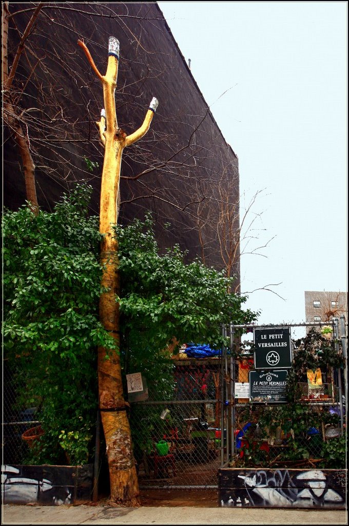 Le Petit Versailles Community Garden - East 2nd Street, NYC - March 2009 by LuciaM