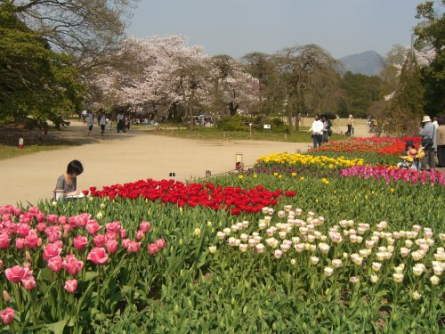 Kyoto botanical garden by sonotune