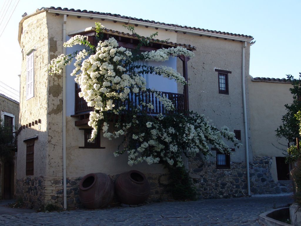 House at Pera by Gregory cy