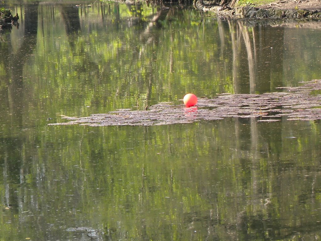 2009 4 Milano, Parco Sempione - una nota di colore ... by mario ghezzi