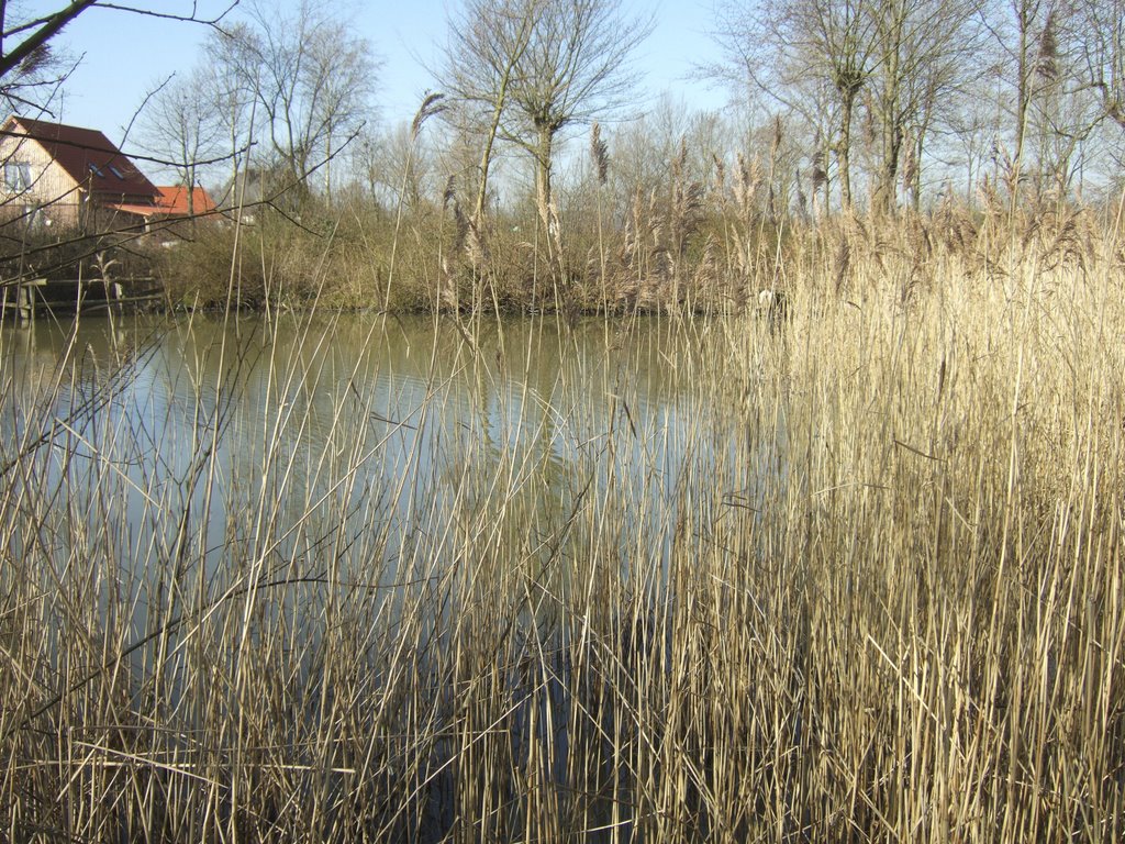 Maasholm, Bürgerpark by ullistelzner