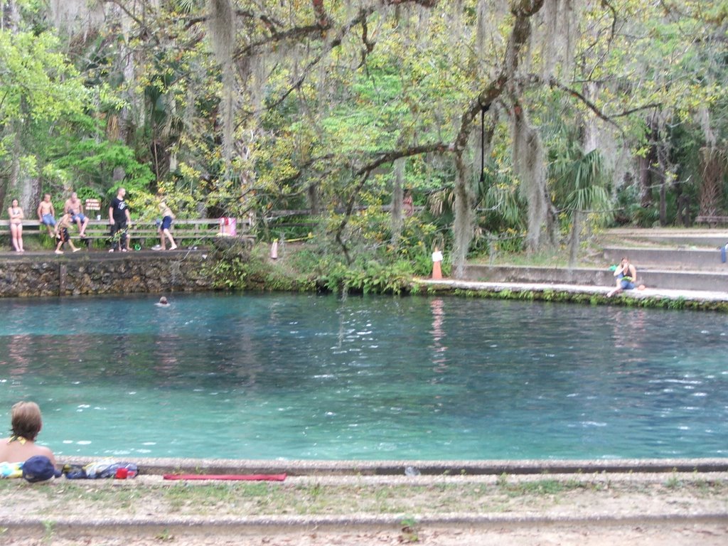 Juniper Springs by Chris Yoder by spiceupdinner