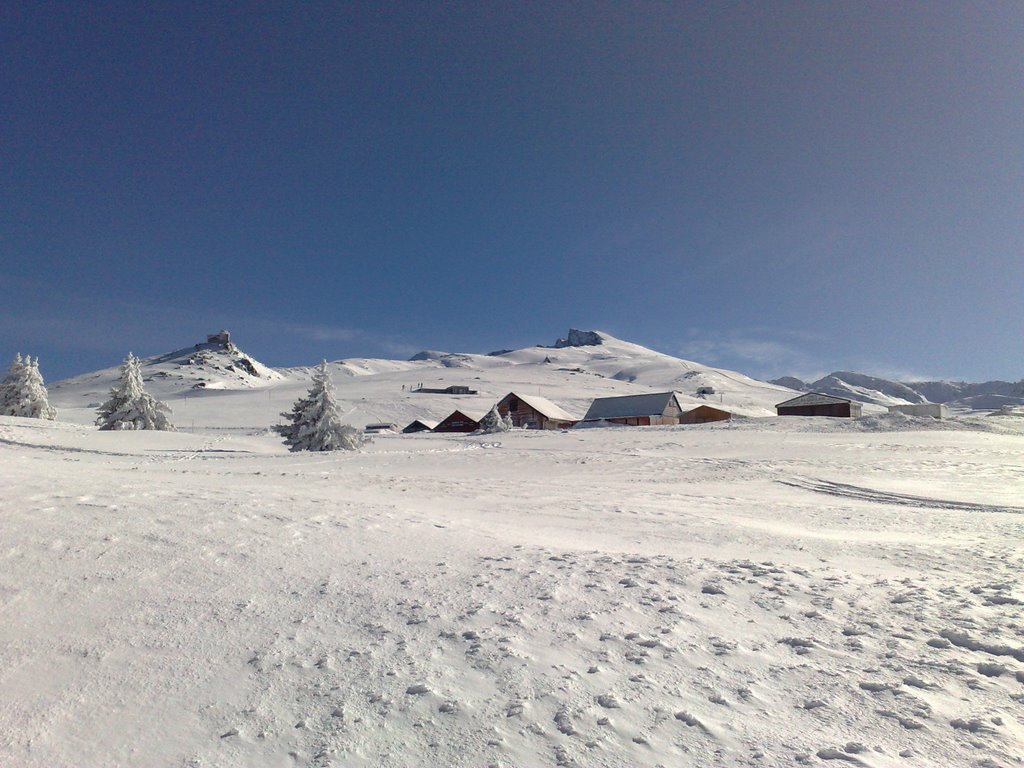 SIERRA NEVADA ,VELETA by m tejada c