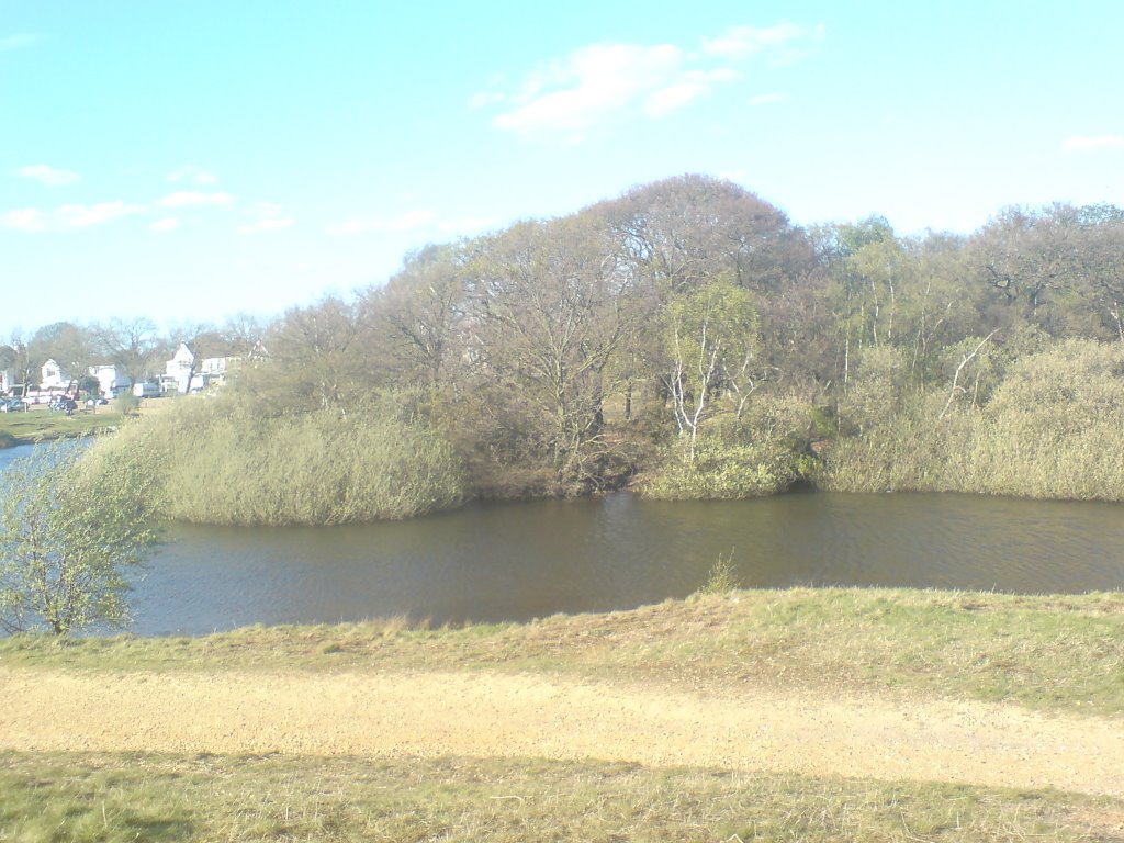 Alexandra Lake, Wanstead Flats by abdullah95