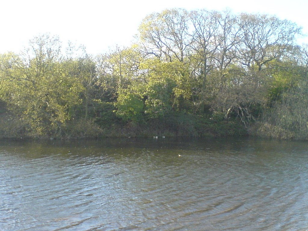 Alexandra Lake, Wanstead Flats by rayhan94