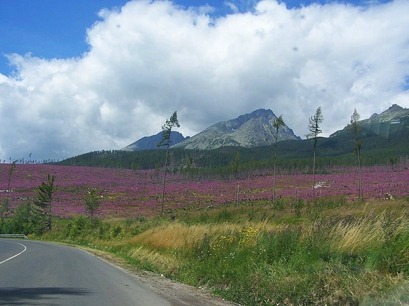 Wysokie Tatry w Słowacji by imka00