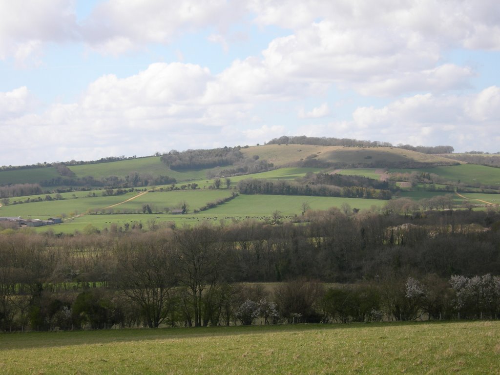 Beacon Hill and Meon Valley looking west from South Downs Way by christiancourt