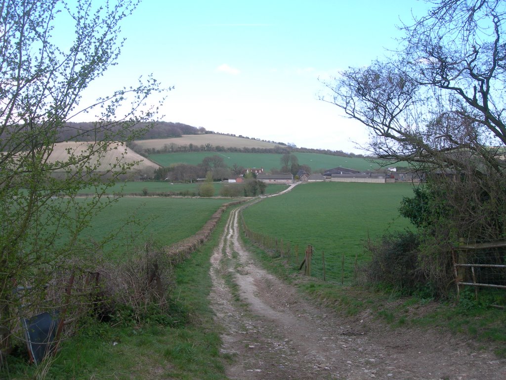 South Downs Way by christiancourt