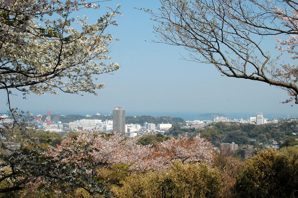 塚山公園からの眺め(View from Tsukayama park) by 9m2ji1etu