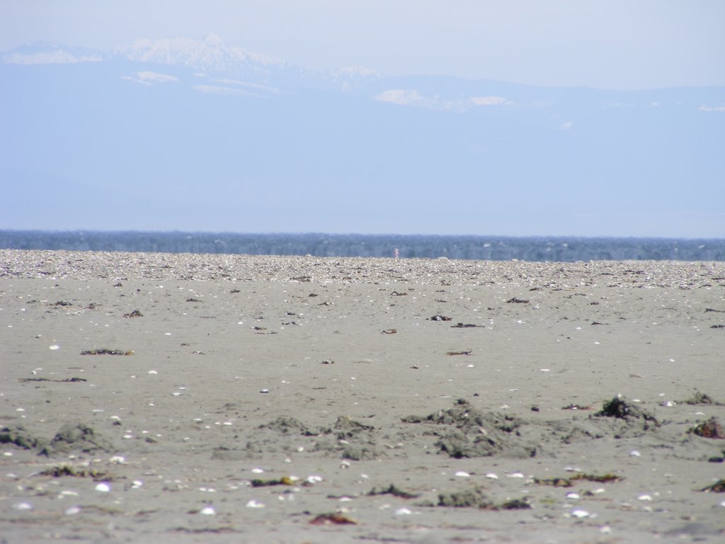 Parksville Public Beach by srenowden