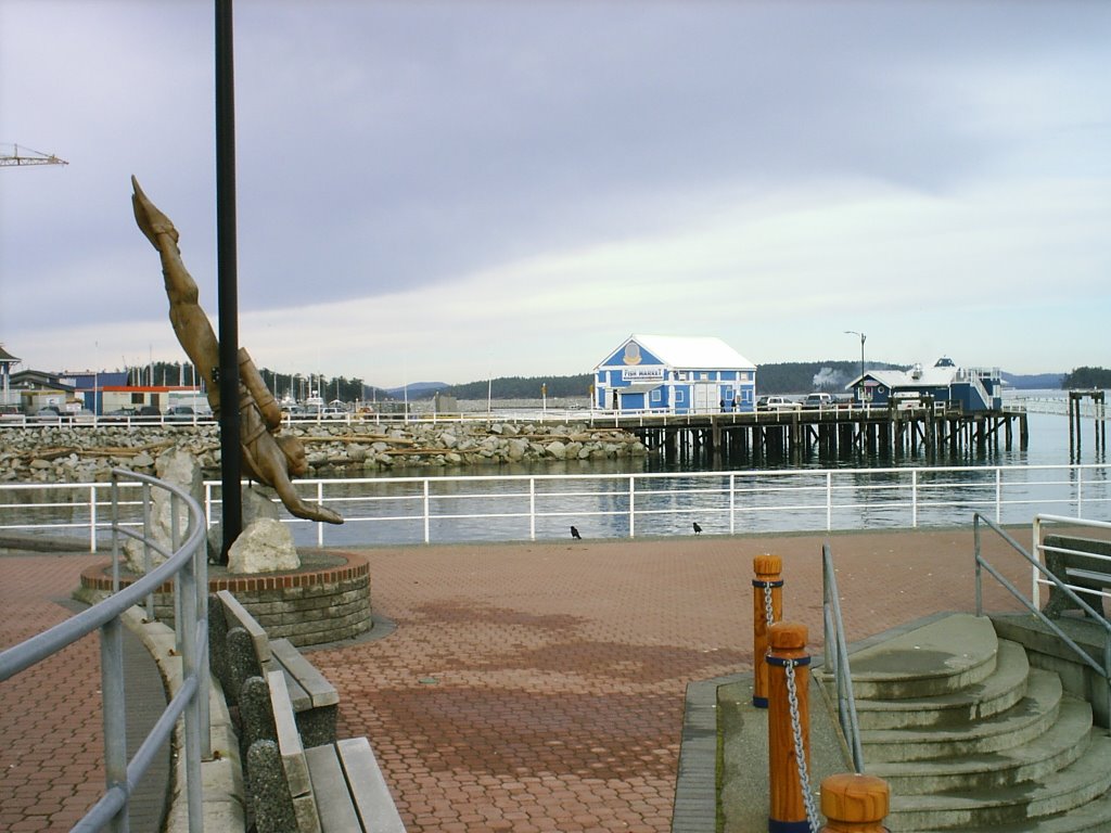 Sidney Boardwalk by srenowden