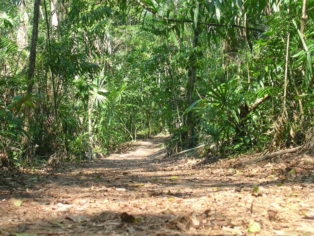 Tikal year 2005 06 by Endre Våge