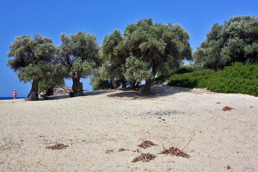 Tsougria Island by Finn Lyngesen flfoto.dk