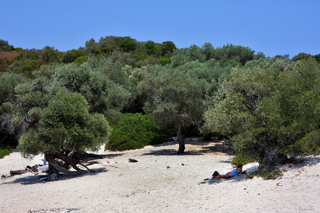 Tsougria Island trees near the beach by Finn Lyngesen flfoto.dk