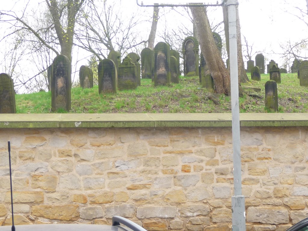 Alter Jüdischer Friedhof Oberstraße by Wittickt