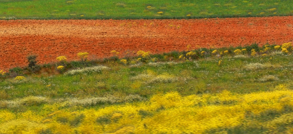 Pasando por Castilla (salida de Benavente) by helena Blein